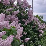 Tuka Talu ,soomaa Piirkonnas, Paernumaa Habitación en casa particular *