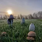 Tuka Talu ,soomaa Piirkonnas, Paernumaa *