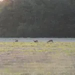 Tuka Talu ,soomaa Piirkonnas, Paernumaa * Tori