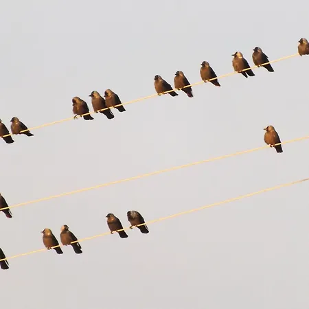 Tuka Talu Soomaa Piirkonnas * Tori