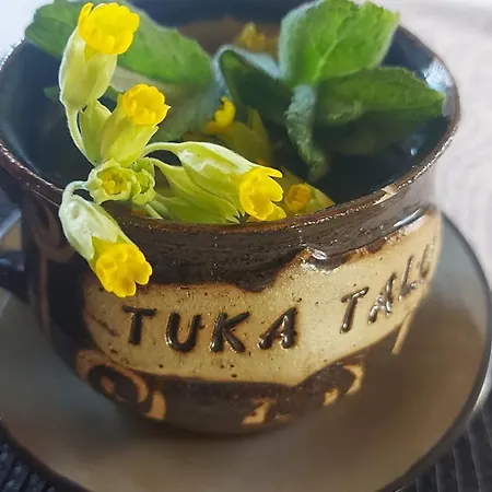Tuka Talu ,soomaa Piirkonnas, Paernumaa Séjour chez l'habitant *