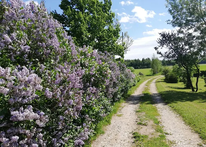 Проживание в семье Tuka Talu ,soomaa Piirkonnas, Paernumaa Тори