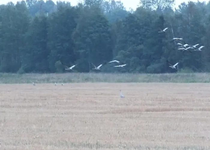 Tuka Talu ,soomaa Piirkonnas, Paernumaa Kwatera prywatna