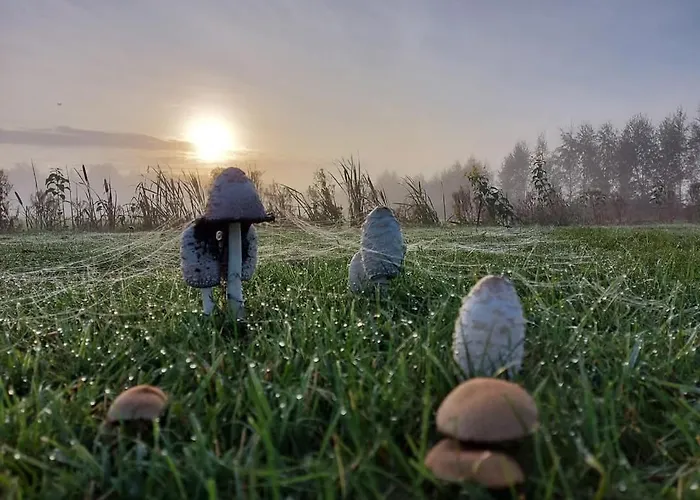 Tuka Talu ,soomaa Piirkonnas, Paernumaa *