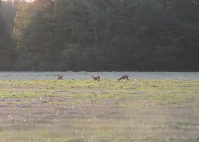 Tuka Talu ,soomaa Piirkonnas, Paernumaa * Tori
