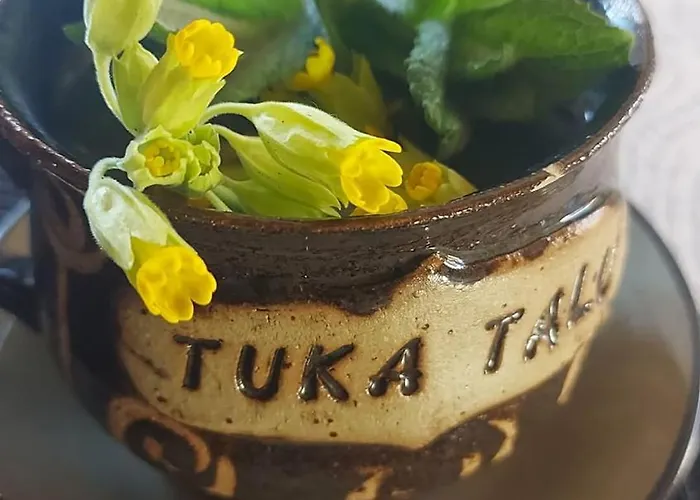 Tuka Talu ,soomaa Piirkonnas, Paernumaa Kwatera prywatna *