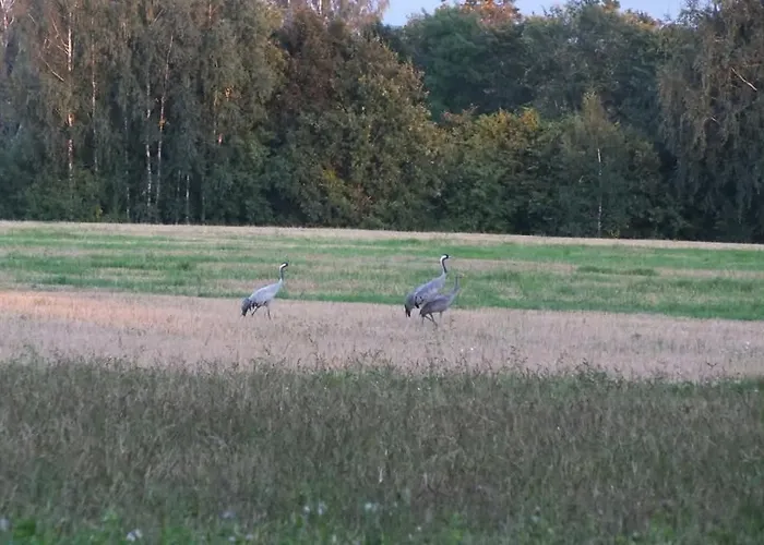 Kwatera prywatna Tuka Talu ,soomaa Piirkonnas, Paernumaa Tori